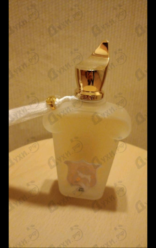 Отзыв Xerjoff Dama Bianca