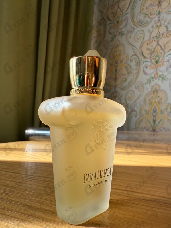 Купить Dama Bianca от Xerjoff