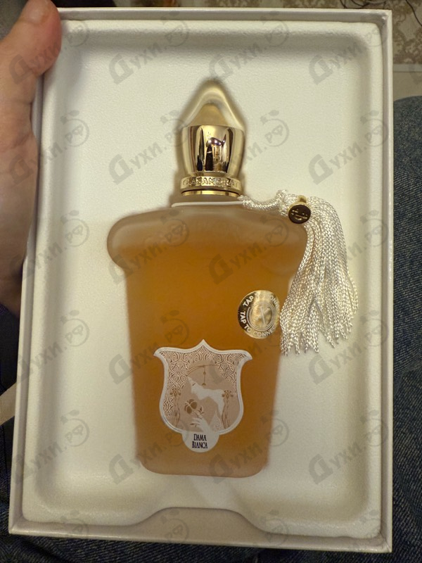 Купить Dama Bianca от Xerjoff