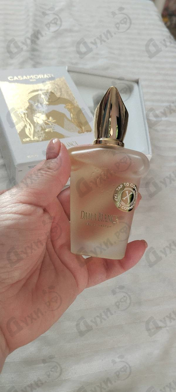 Парфюмерия Dama Bianca от Xerjoff