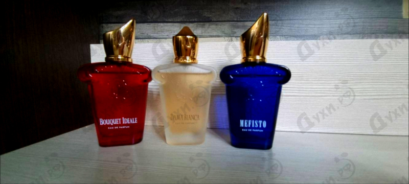 Купить Dama Bianca от Xerjoff