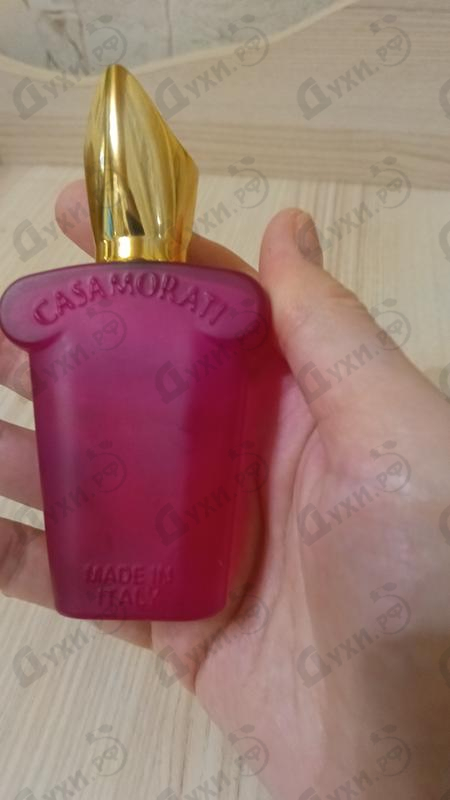 Парфюмерия Gran Ballo от Xerjoff