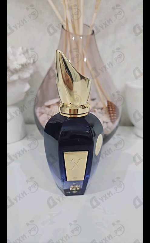 Купить Shunkoin от Xerjoff