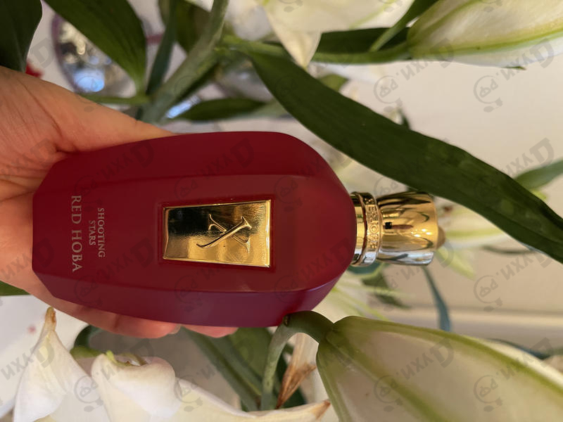 Парфюм Xerjoff Red Hoba Духи Red Hoba от Xerjoff