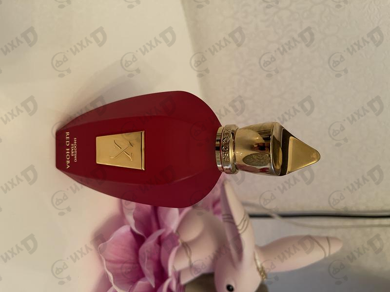 Духи Red Hoba от Xerjoff Парфюмерия Xerjoff Red Hoba