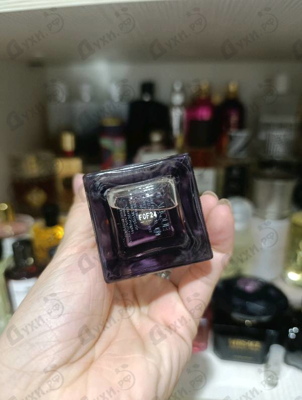 Отзывы Lalique Amethyst Eclat