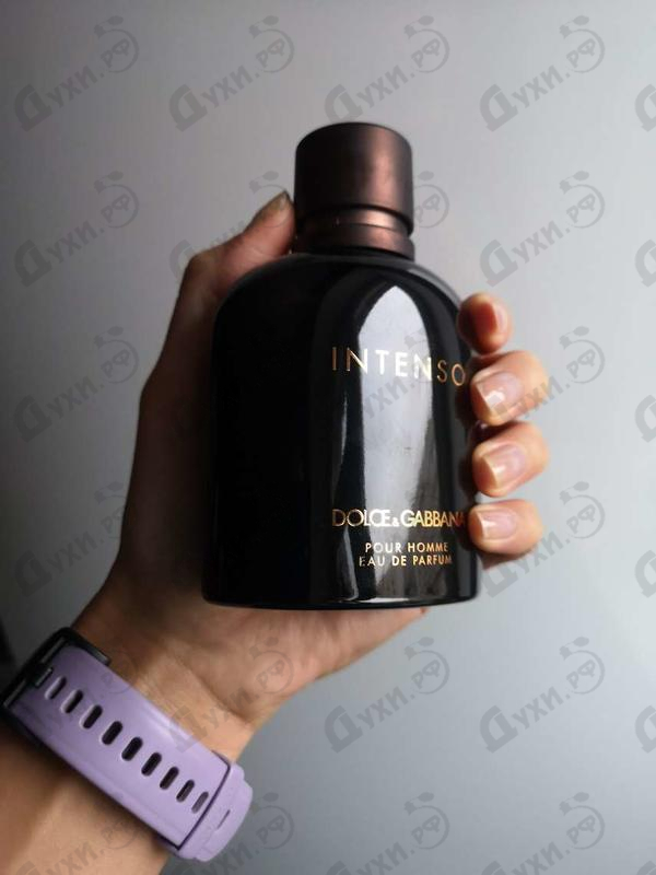 Духи Pour Homme Intenso от Dolce & Gabbana