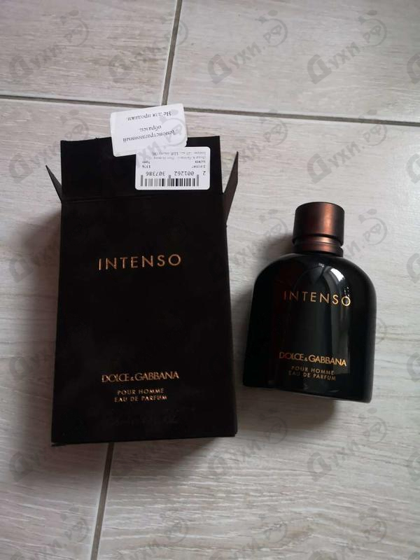 Купить Pour Homme Intenso от Dolce & Gabbana