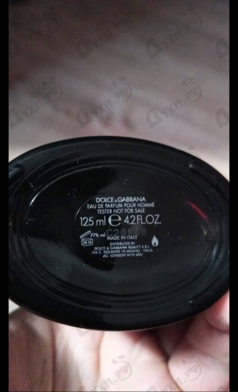 Купить Pour Homme Intenso от Dolce & Gabbana