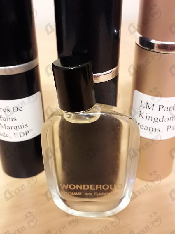 Купить Wonderoud от Comme Des Garcons