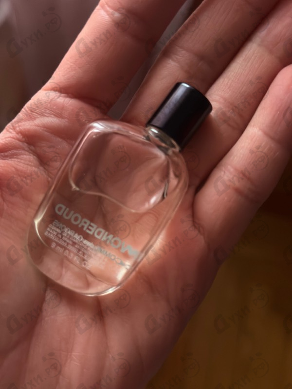 Парфюмерия Wonderoud от Comme Des Garcons