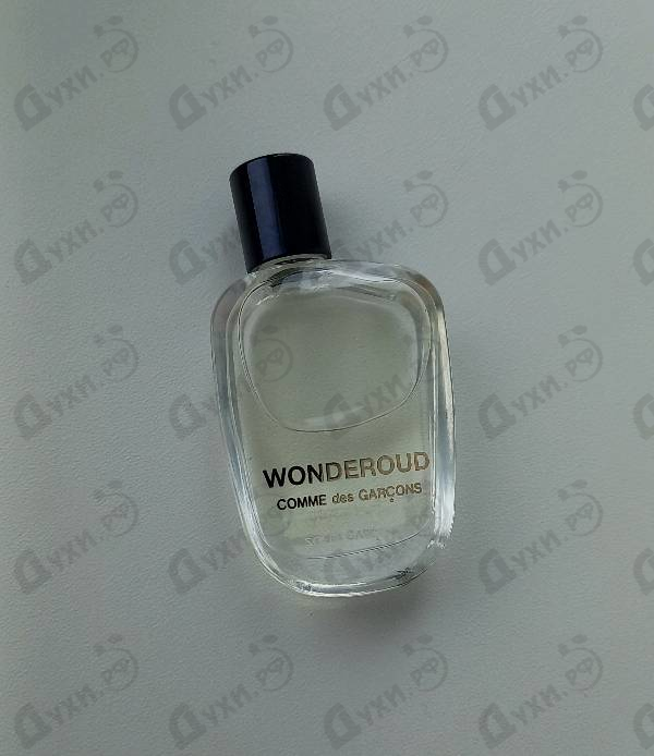 Купить Wonderoud от Comme Des Garcons