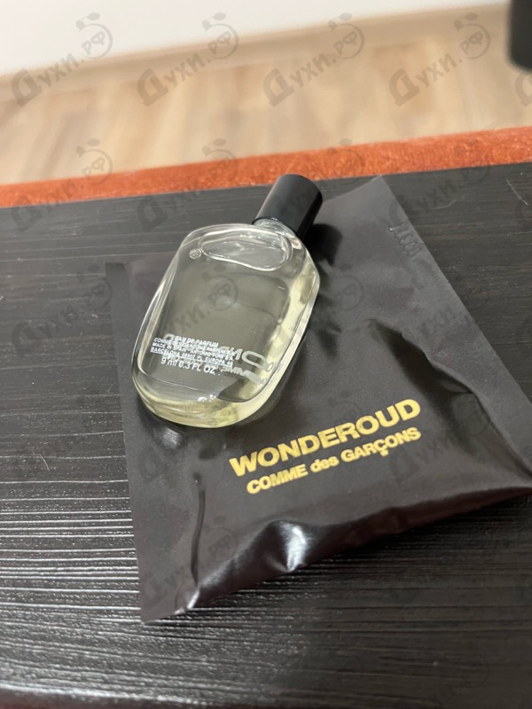 Купить Comme Des Garcons Wonderoud