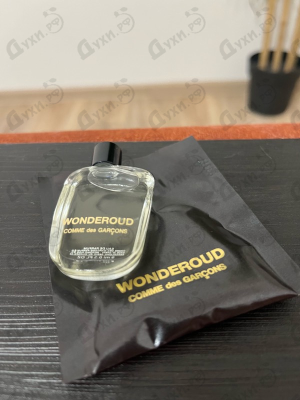 Купить Wonderoud от Comme Des Garcons
