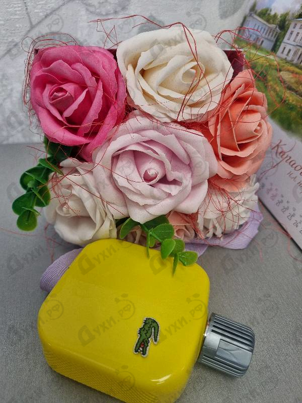 Купить L.12.12 Jaune Optimistic от Lacoste