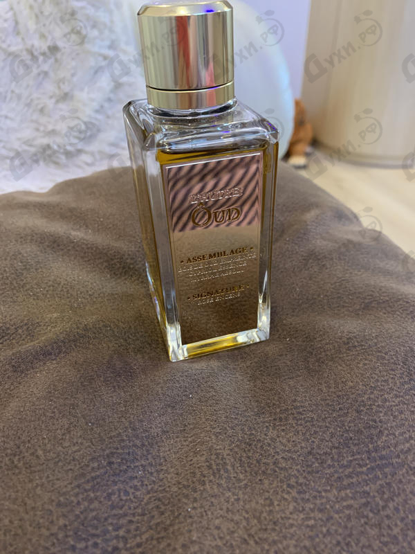 Купить L'autre Oud от Lancome