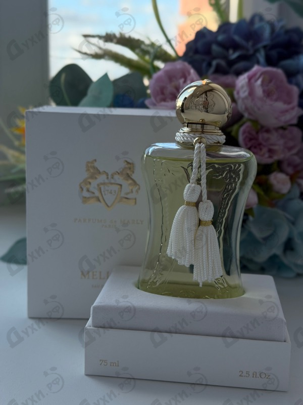 Купить Meliora от Parfums de Marly