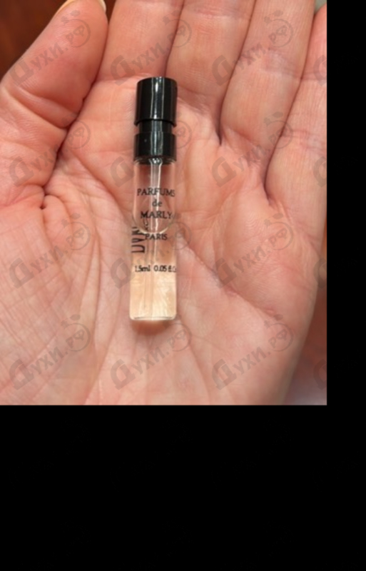 Купить Darcy от Parfums de Marly