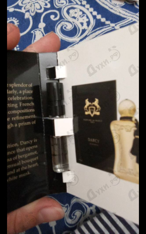 Купить Darcy от Parfums de Marly