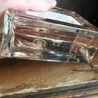 Парфюм Sergio Tacchini Fantasy Forever