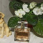 Духи Fantasy Forever от Sergio Tacchini