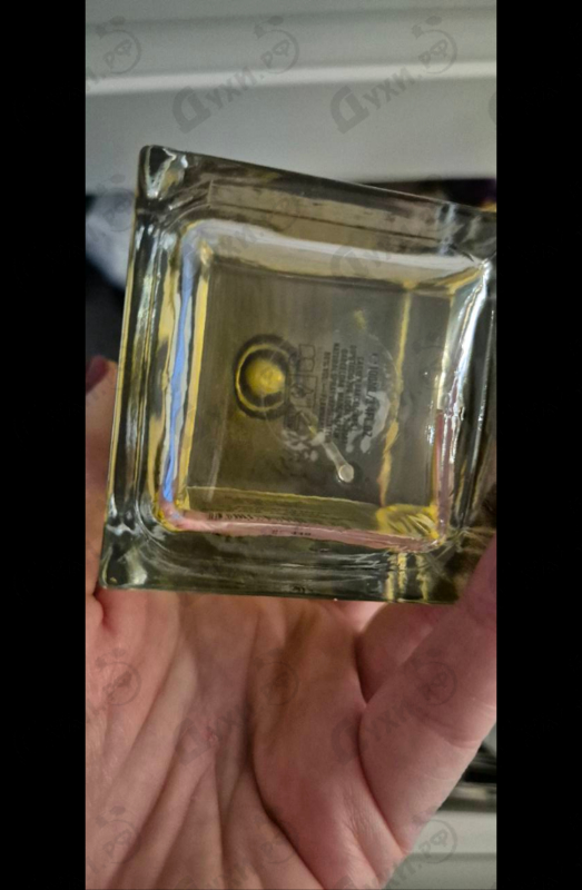 Отзывы Carner Barcelona Rima XI