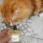 Отзыв Carner Barcelona Rima XI