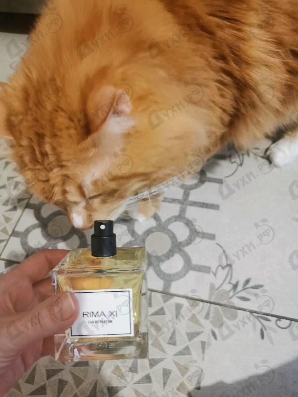 Парфюмерия Carner Barcelona Rima XI