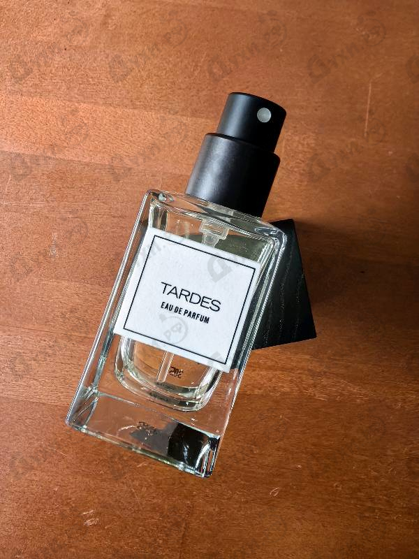 Купить Carner Barcelona Tardes