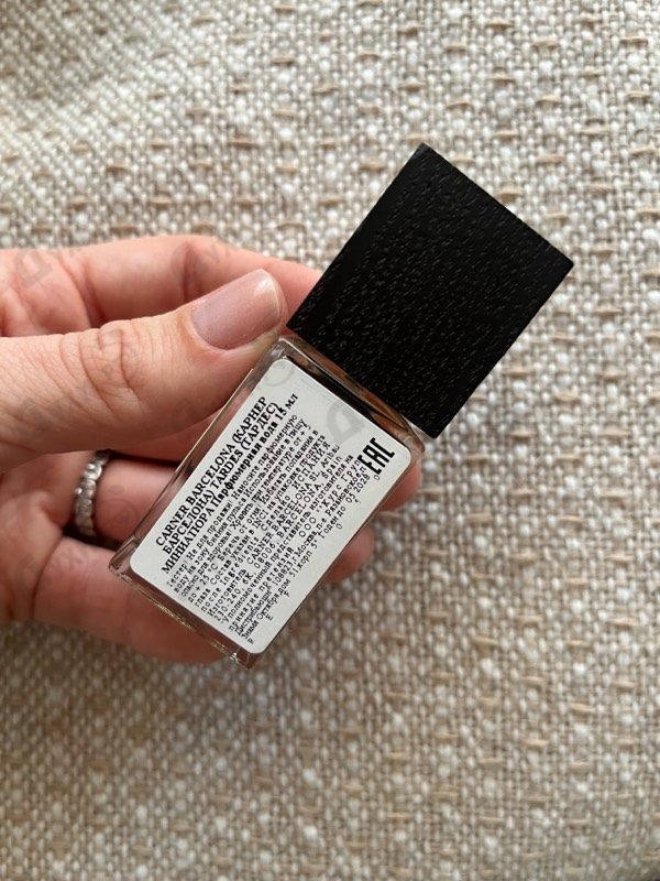 Отзыв Carner Barcelona Tardes