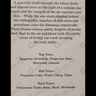 Отзывы Carner Barcelona Tardes