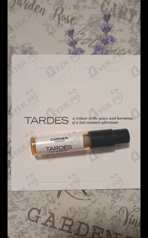 Купить Tardes от Carner Barcelona