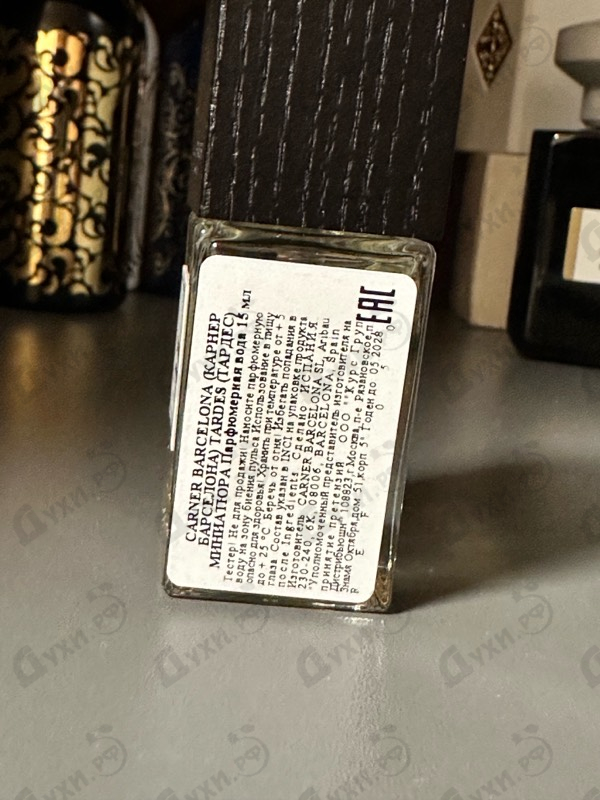 Купить Tardes от Carner Barcelona