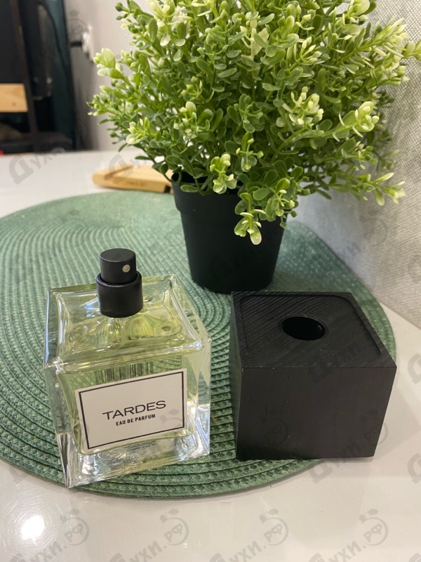 Купить Tardes от Carner Barcelona