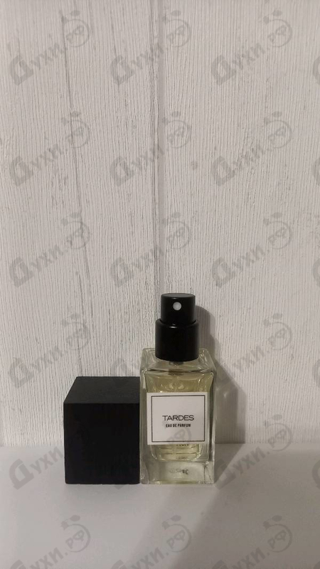 Купить Tardes от Carner Barcelona