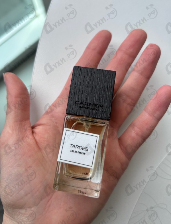 Купить Tardes от Carner Barcelona