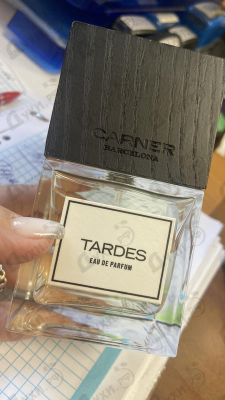 Купить Tardes от Carner Barcelona