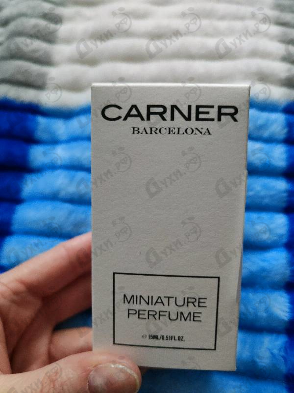 Духи Carner Barcelona Tardes Парфюмерия Tardes от Carner Barcelona