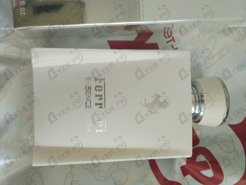Парфюмерия Essence Musk от Ferrari Парфюмерия Ferrari Essence Musk