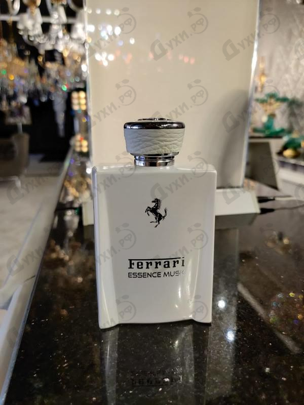 Парфюм Ferrari Essence Musk Купить Essence Musk от Ferrari