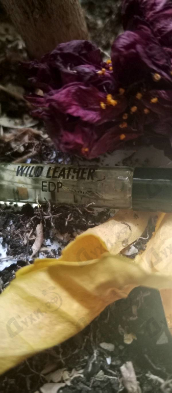 Парфюмерия Wild Leather от Mancera
