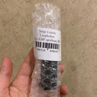 Отзывы Serge Lutens L'orpheline