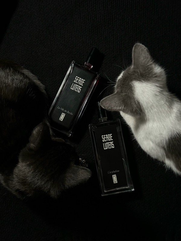 Парфюмерия L'orpheline от Serge Lutens