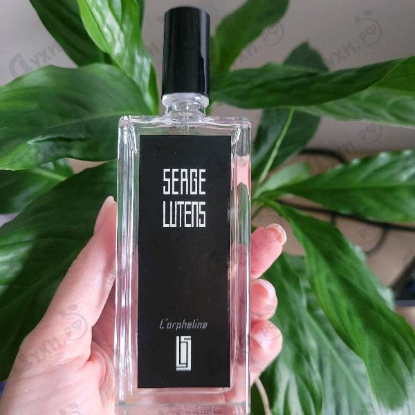 Парфюмерия L'orpheline от Serge Lutens