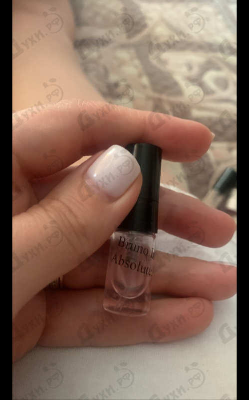 Парфюмерия Absolute от Bruno Banani