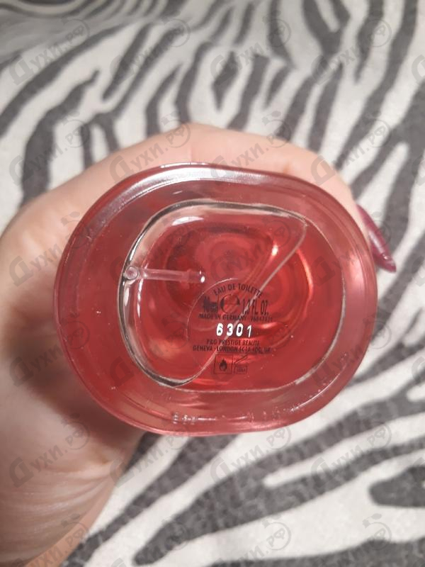 Парфюм Bruno Banani Absolute Духи Absolute от Bruno Banani