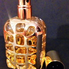 Отзывы Fendi Furiosa