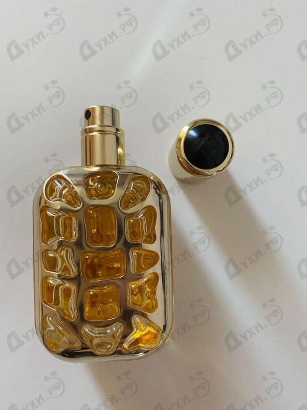 Отзывы Fendi Furiosa