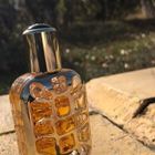 Отзывы Fendi Furiosa