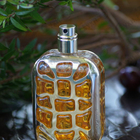 Отзыв Fendi Furiosa